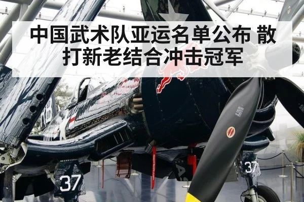 中国武术队亚运名单公布 散打新老结合冲击冠军
